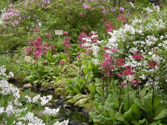 【つくばの遊ぶところ 大人編 おすすめスポット4】国立科学博物館筑波実験植物園 (つくば市街 )