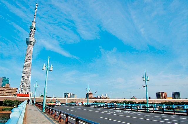 夏には隅田川花火大会が行われる「隅田公園」