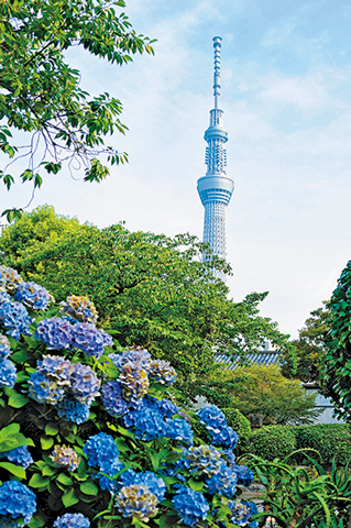 【道中の見どころ】