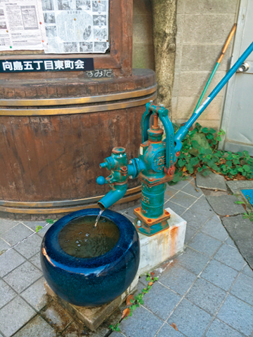 【道中の見どころ】