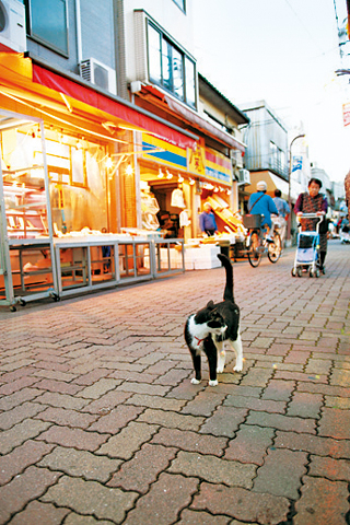新旧の店が並ぶ下町の商店街「キラキラ橘商店街」