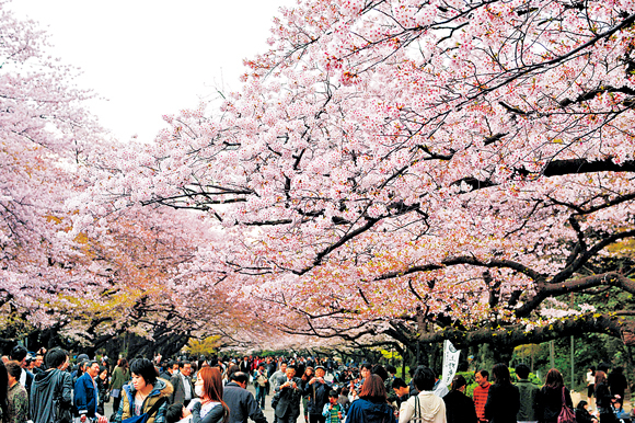 四季の自然が美しい都会のオアシス「上野恩賜公園」