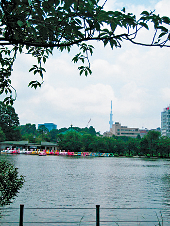 【道中の見どころ】