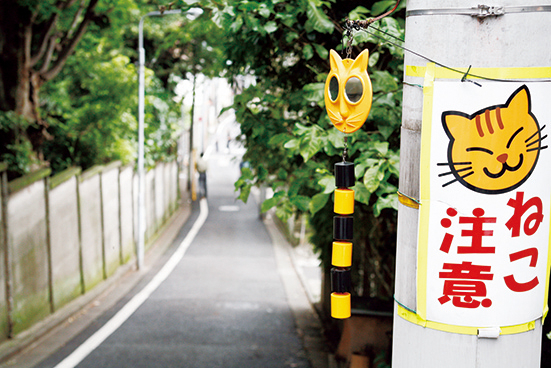 【道中の見どころ】