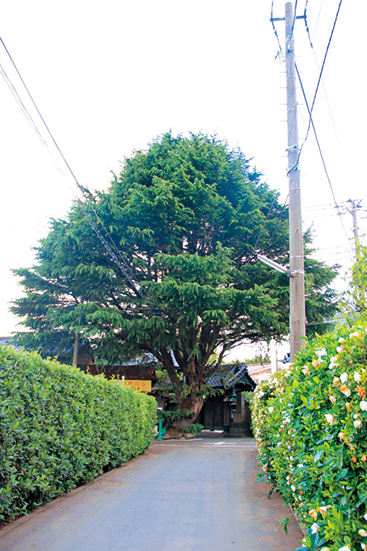 【道中の見どころ】