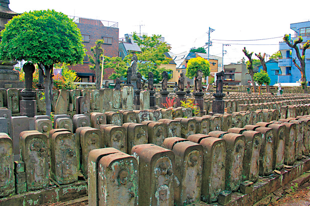 【道中の見どころ】