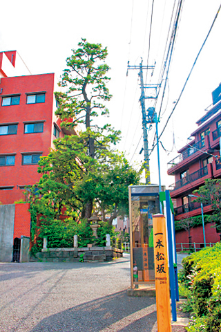 【道中の見どころ】