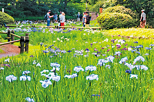 【道中の見どころ】