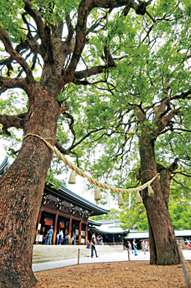 【道中の見どころ】