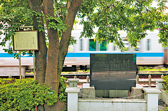 【道中の見どころ】