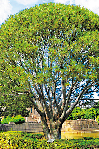 【道中の見どころ】