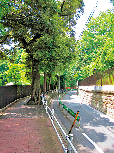 【道中の見どころ】