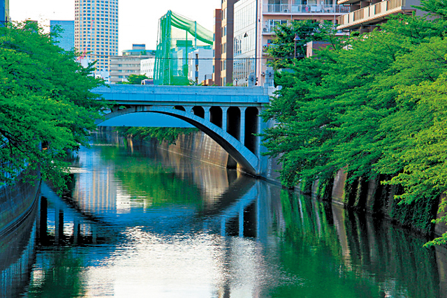 【道中の見どころ】