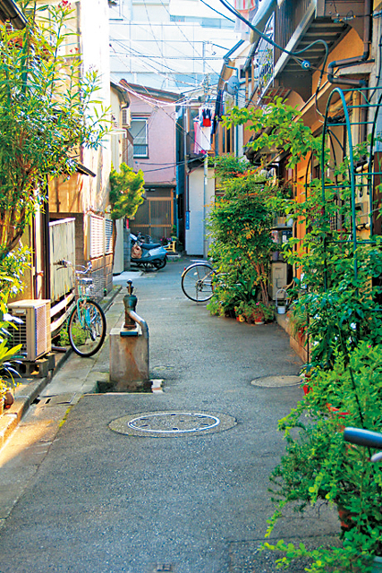 【道中の見どころ】