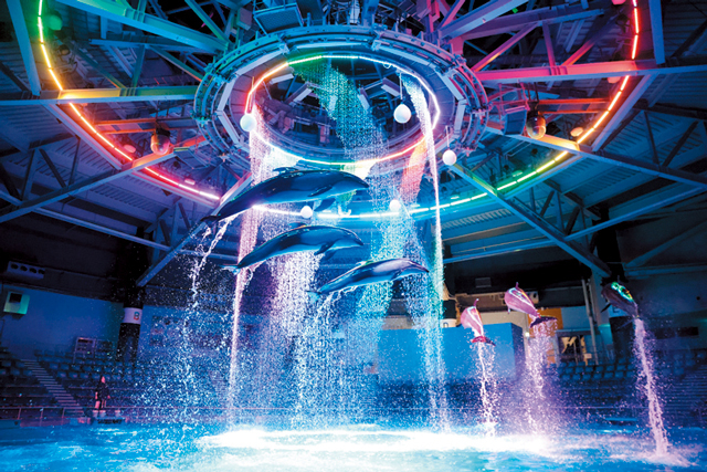 水族館のカテゴリーを超えた新しいエンターテインメント「マクセル アクアパーク品川」