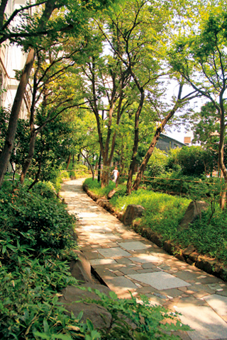 【道中の見どころ】