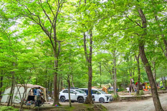 メープル那須高原キャンプグランド(栃木県 那須)