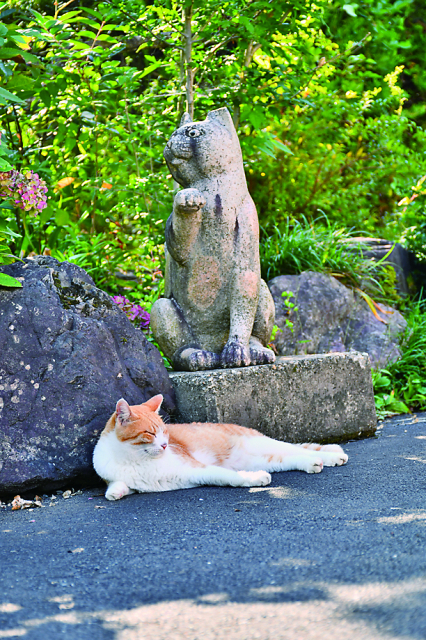 お散歩・お昼寝