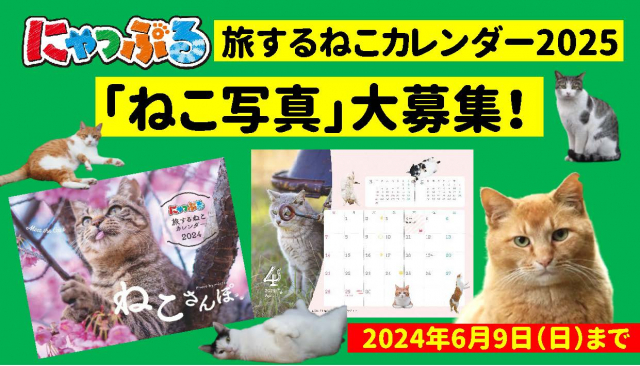 「にゃっぷる 旅するねこカレンダー2025」に登場してくれる「ねこ写真」を大募集します!