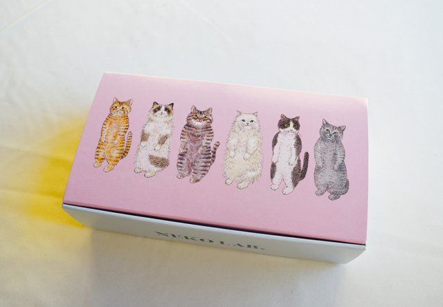 FRANCY JEFFERS(大阪ほか)