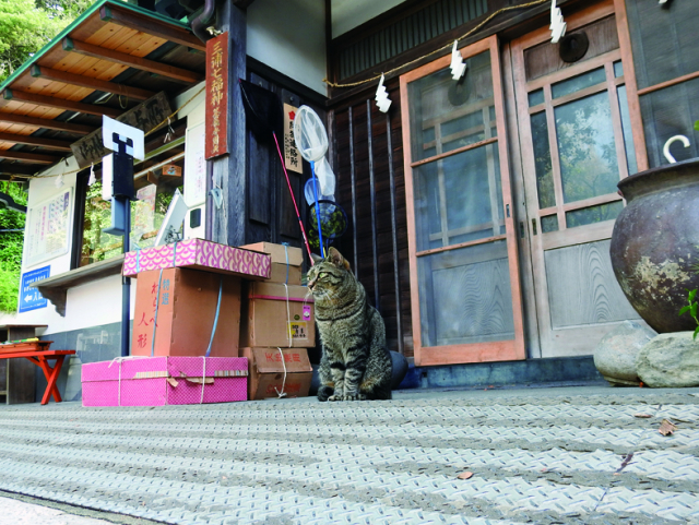 相州三浦総鎮守海南神社(三崎)