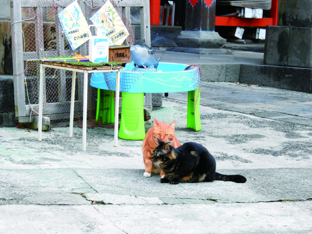 相州三浦総鎮守海南神社(三崎)
