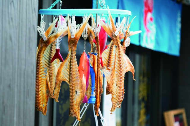 ③お魚くわえたねこ