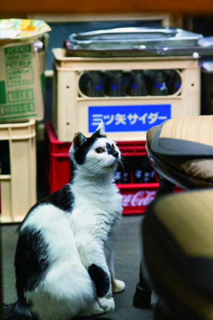 ニコニコ食堂(三崎)