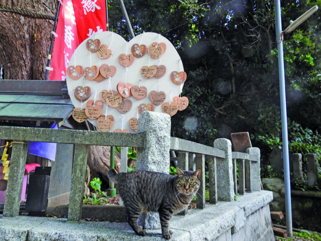 相州三浦総鎮守海南神社(三崎)