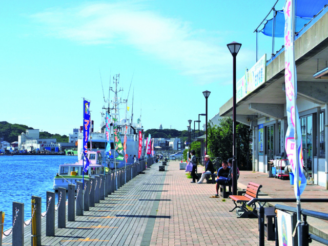 気取らない風景の中、無防備なねこをパシャリ