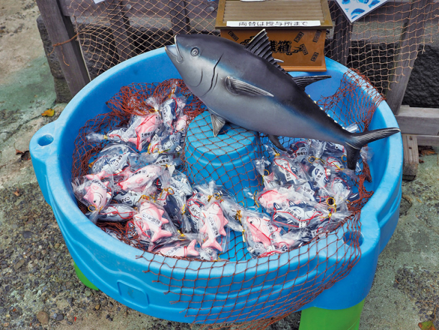 相州三浦総鎮守海南神社(三崎)