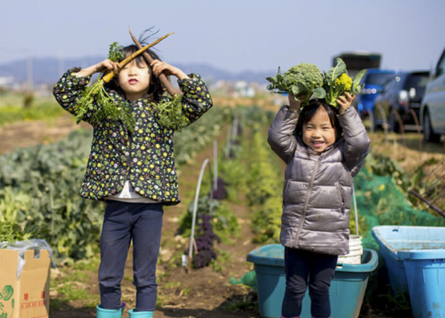 長井海の手公園 ソレイユの丘オートキャンプ場(神奈川県 横須賀)