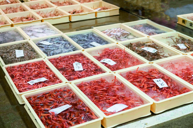 鮮魚 魚廣 <1階>