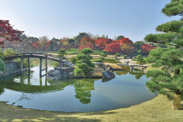 四季折々の花が見事な日本庭園「越谷市日本庭園 花田苑」