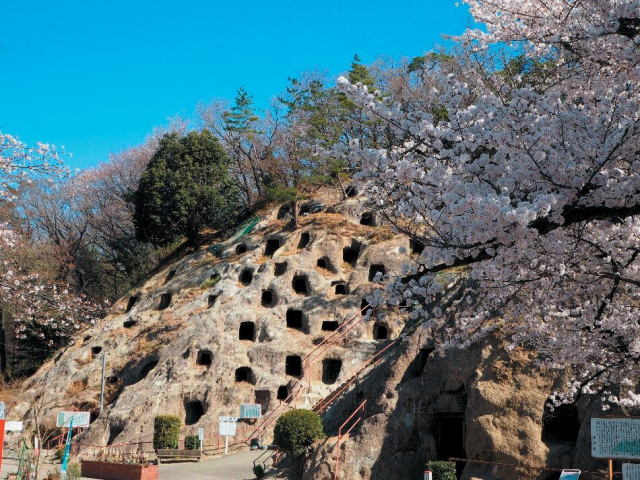 丘陵に掘られたたくさんの横穴墓跡「吉見百穴」