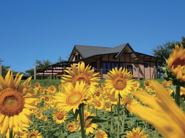 野菜の収穫や季節の花イベントを楽しむ「東松山市農林公園」
