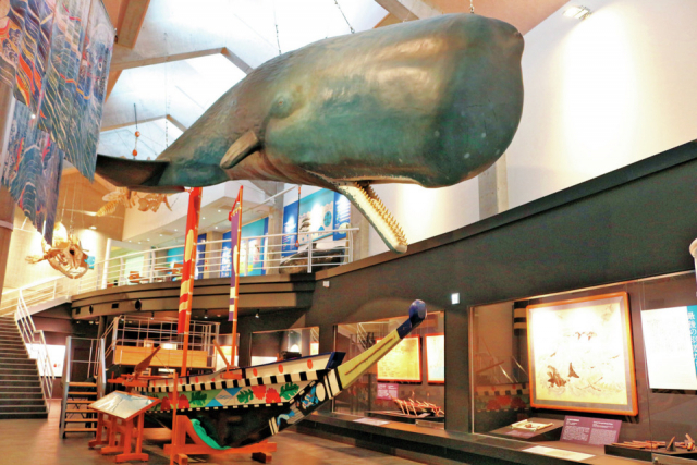 【高知・室戸のツーリングスポット】キラメッセ室戸鯨館