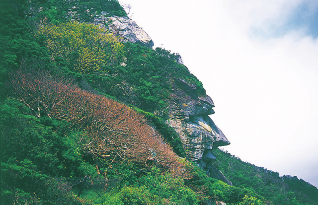 室戸ジオパークらしい見どころがいっぱい