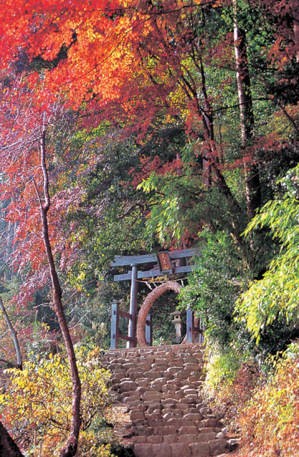 竹林に囲まれた精進料理が評判の寺「竹寺(八王寺)」