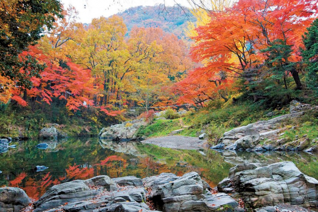 紅葉の名所として知られる絶景の渓谷「嵐山渓谷」