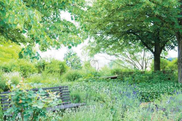 五感で楽しむメディカルハーブガーデン「生活の木 薬香草園」