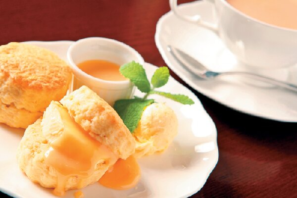 十勝しんむら牧場 クリームテラス