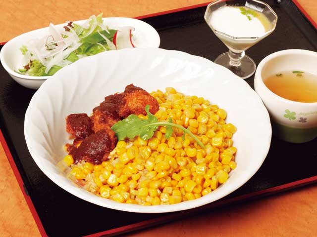 ファミリーとんかつの店 あかずきん