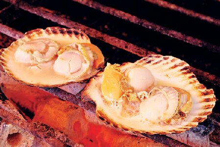 道の駅 サロマ湖