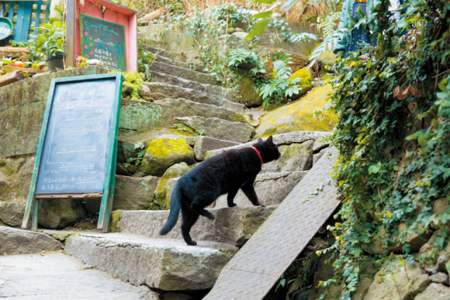 【夏の瀬戸内旅:1日目】千光寺公園を散策、千光寺頂上展望台PEAKで尾道市街を一望【千光寺頂上展望台PEAK】