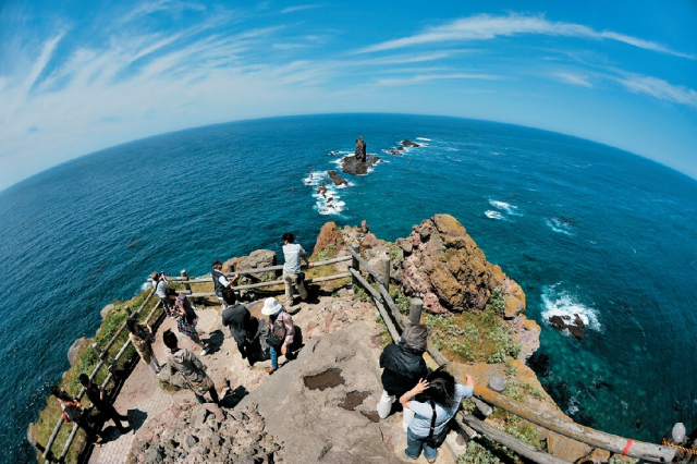 初夏にエゾカンゾウが咲き誇る「神威岬」