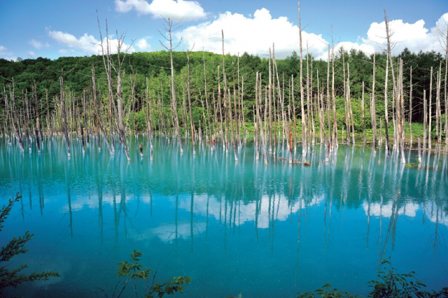 リフレッシュラインを走ろう!