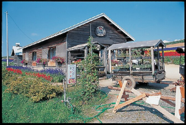 花人街道沿いの丘に広がる花畑「かんのファーム」