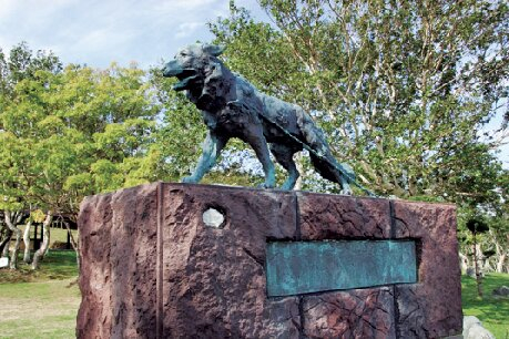 海抜240mの展望台は360度の大パノラマ「稚内公園」