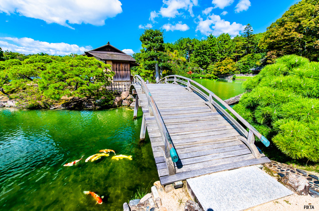 園内をぐるっと散策してみよう